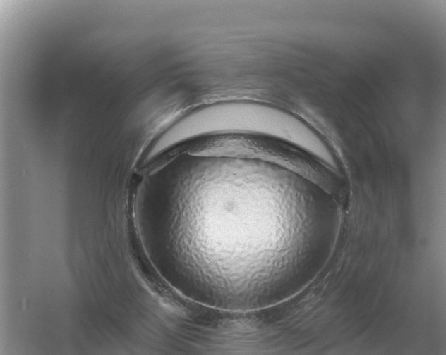 X0000058140107200509302029