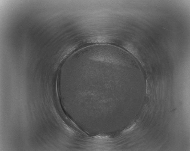 X0000058140109200509302029