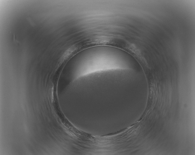 X0000058140110200509302029