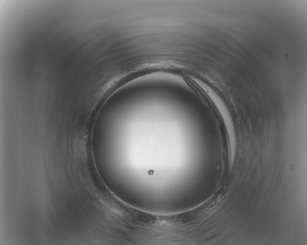 X0000058140111200509302029