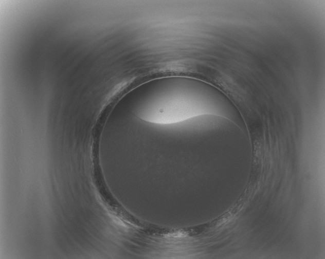 X0000058140112200509302029