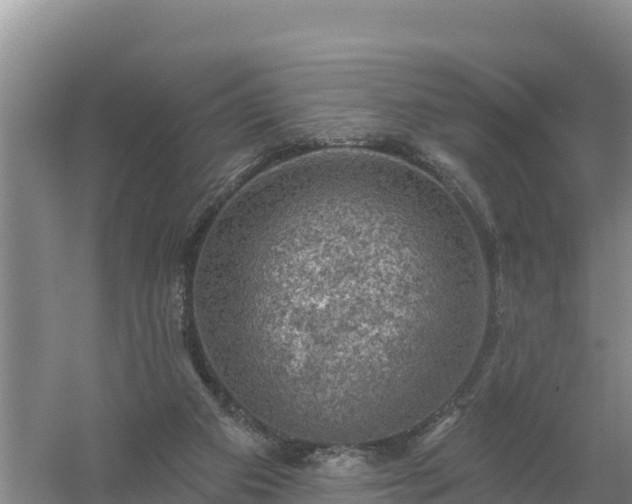 X0000058140113200509302029