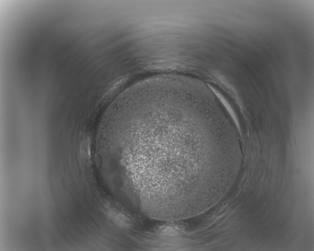 X0000058140115200509302029