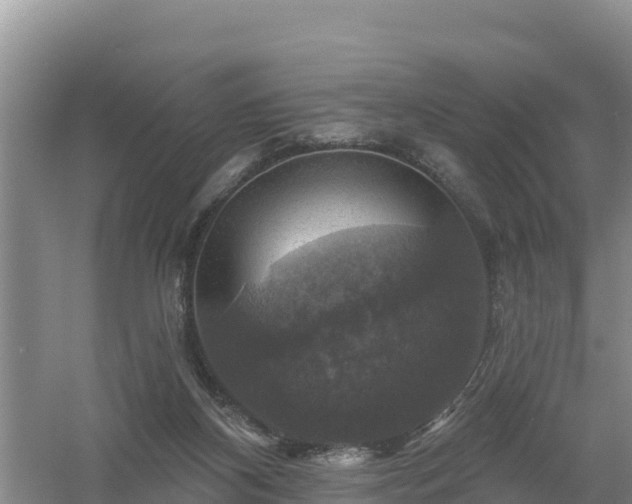 X0000058140116200509302029