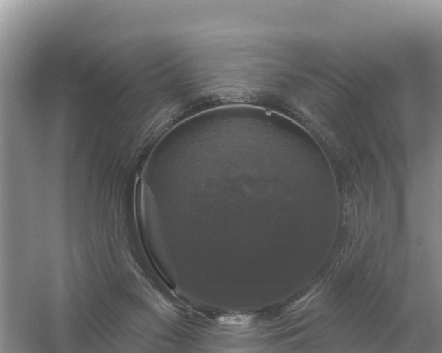 X0000058140117200509302029