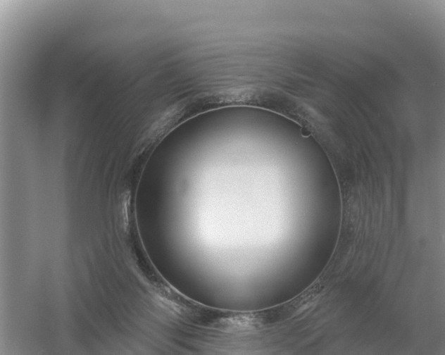 X0000058140118200509302029