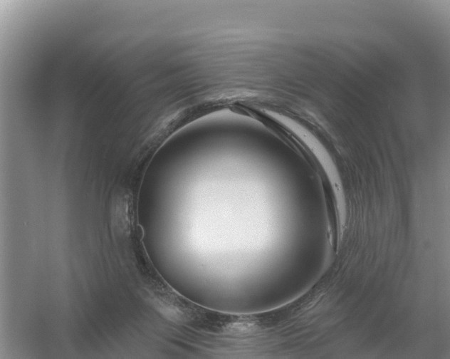 X0000058140119200509302029