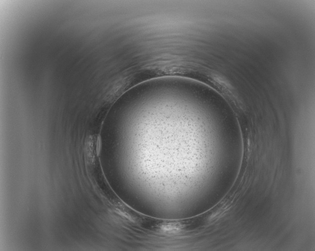 X0000058140121200509302029