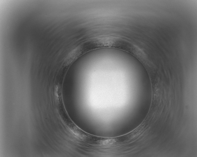 X0000058140122200509302029