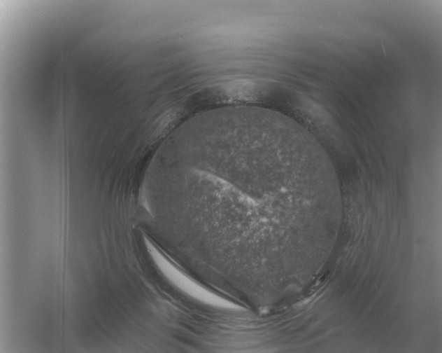 X0000058140123200509302029