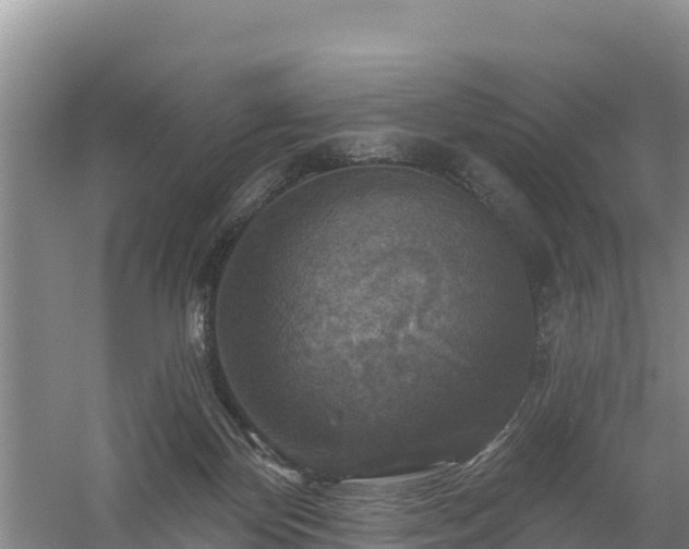 X0000058140124200509302029