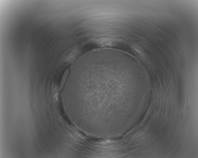 X0000058140125200509302029