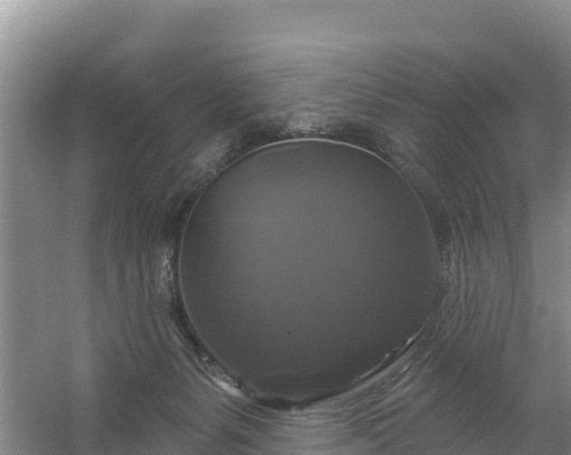 X0000058140127200509302029