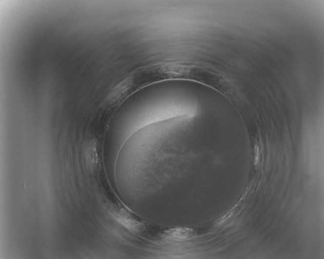 X0000058140128200509302029