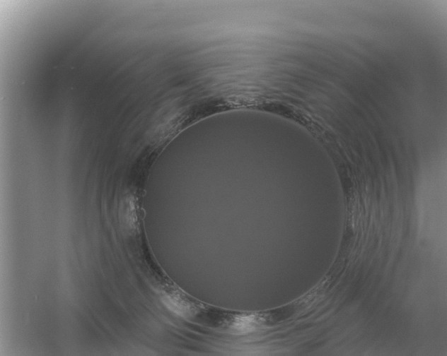 X0000058140130200509302029