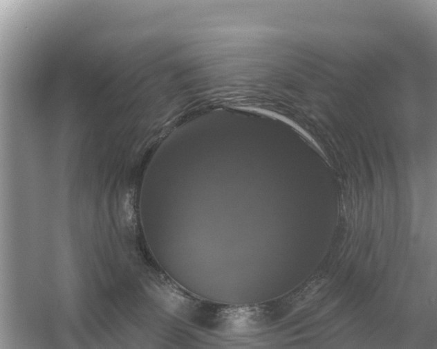 X0000058140131200509302029