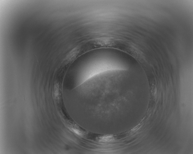 X0000058140132200509302029