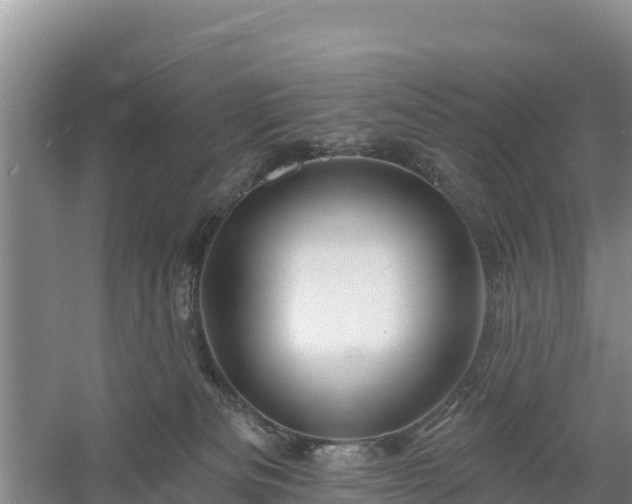 X0000058140133200509302029