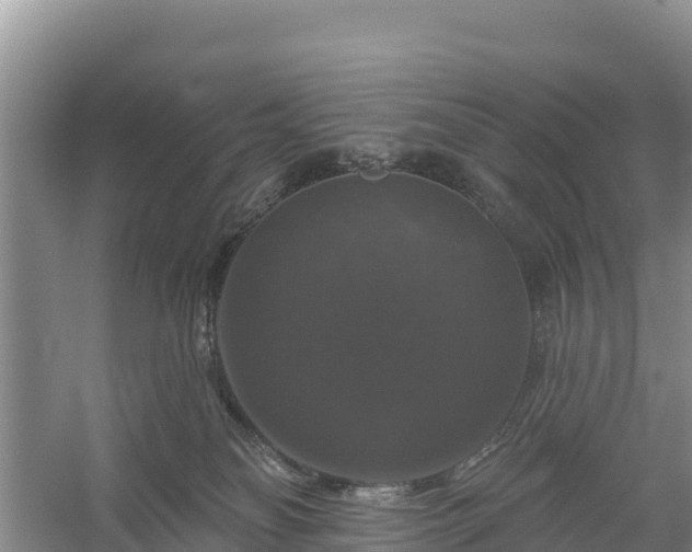 X0000058140134200509302029