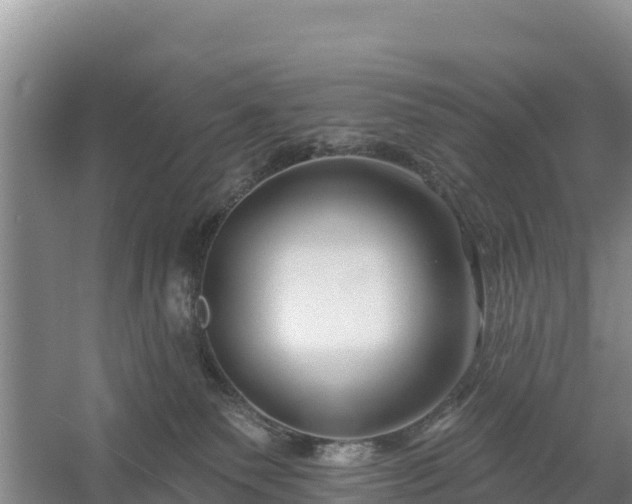 X0000058140135200509302029