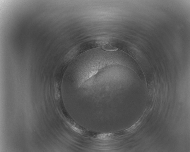 X0000058140136200509302029