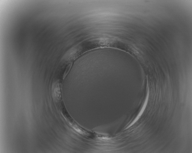 X0000058140137200509302029