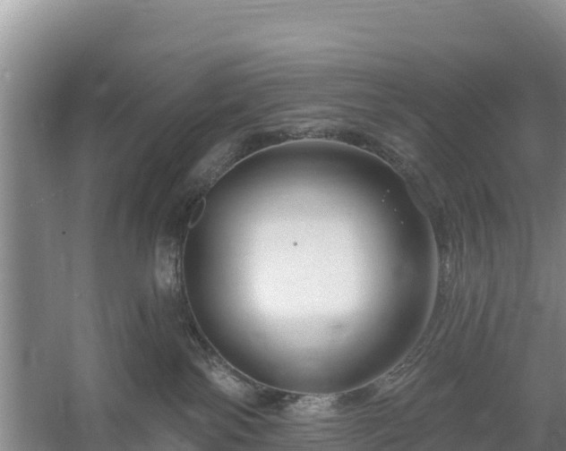 X0000058140138200509302029