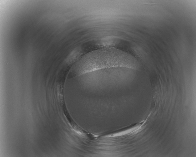 X0000058140140200509302029