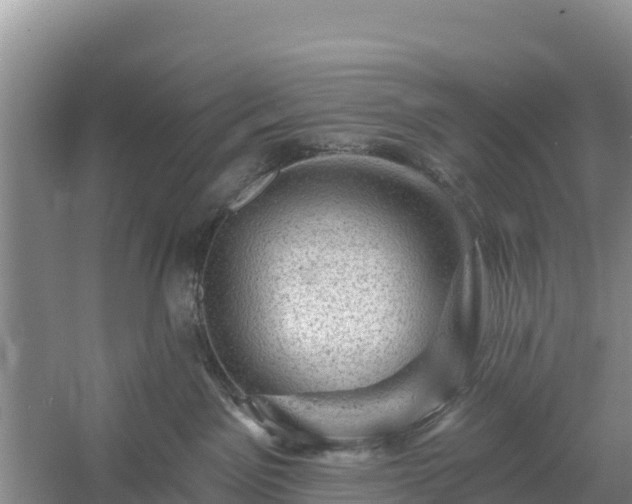 X0000058140141200509302029