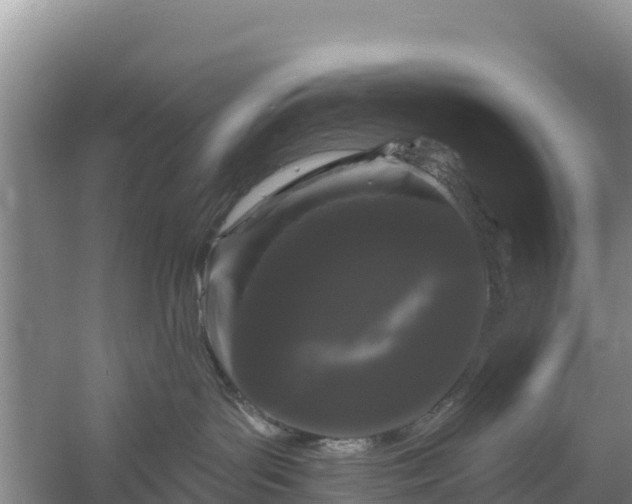 X0000058140143200509302028