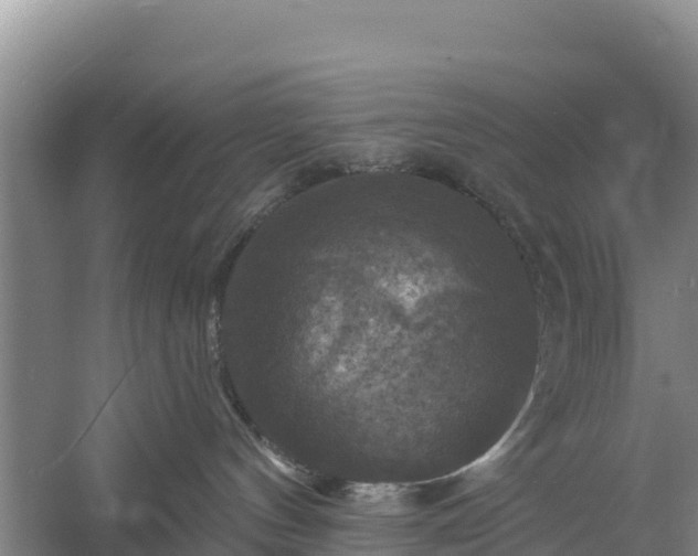 X0000058140144200509302028