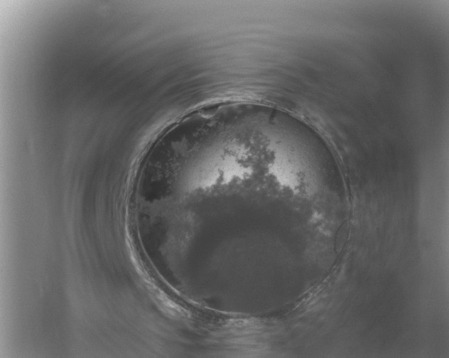 X0000058140145200509302028