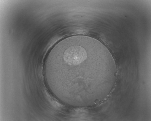 X0000058140146200509302028