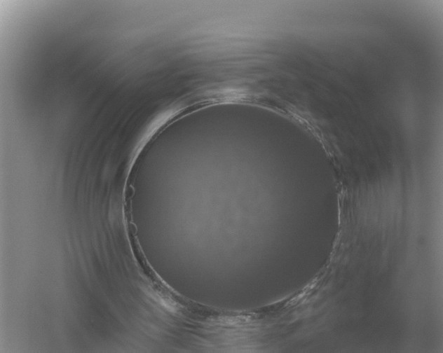 X0000058140147200509302028