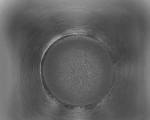 X0000058140148200509302028