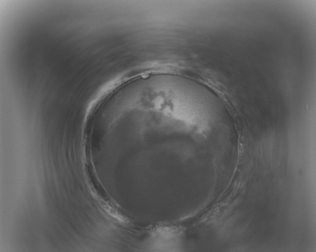 X0000058140149200509302028