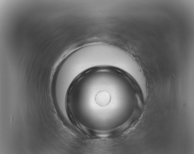 X0000058140150200509302028