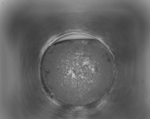 X0000058140151200509302028