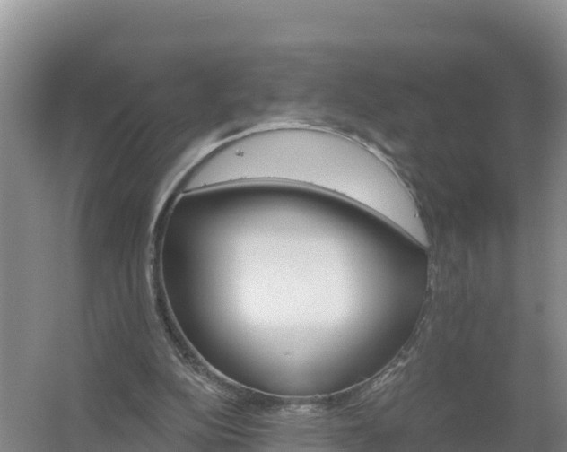 X0000058140152200509302028