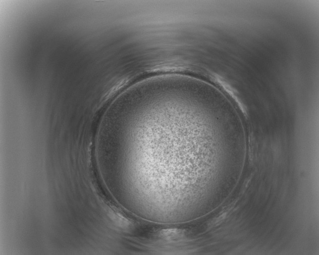 X0000058140153200509302028