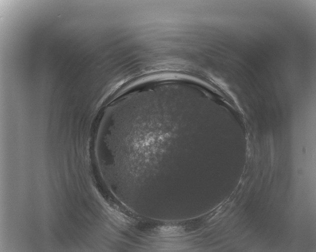 X0000058140154200509302028