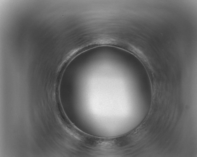 X0000058140155200509302028