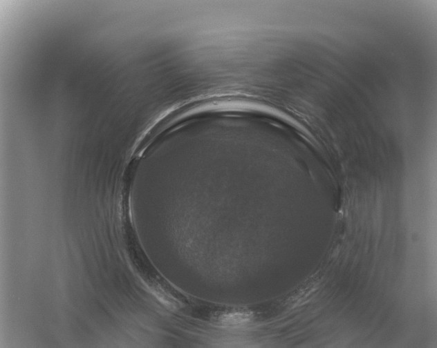 X0000058140156200509302028