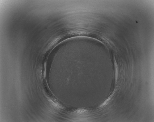 X0000058140158200509302028