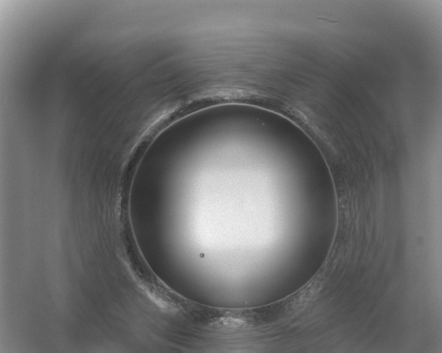 X0000058140159200509302028