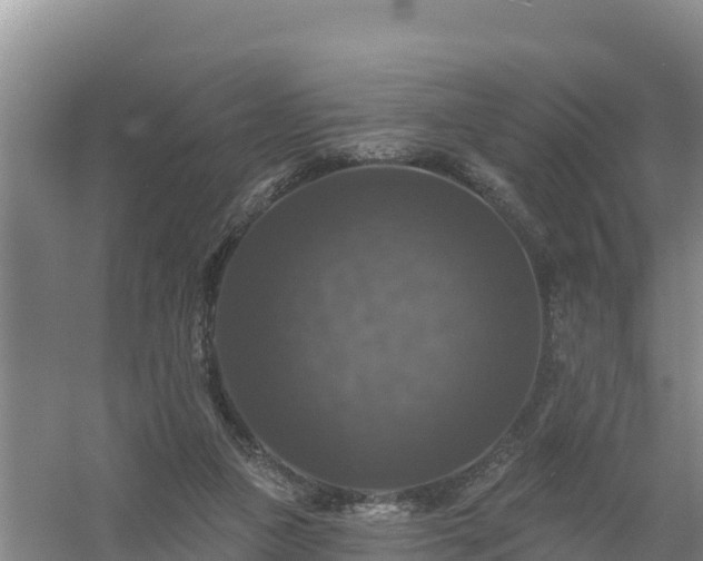 X0000058140161200509302028