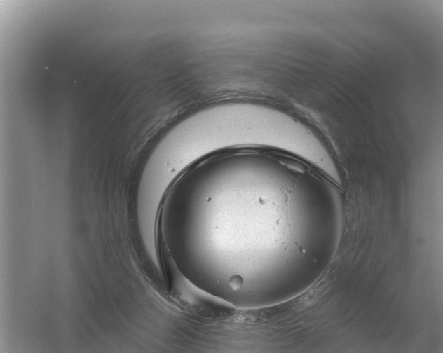 X0000058140162200509302028