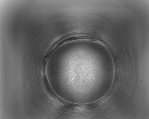 X0000058140164200509302028