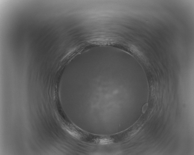 X0000058140165200509302028