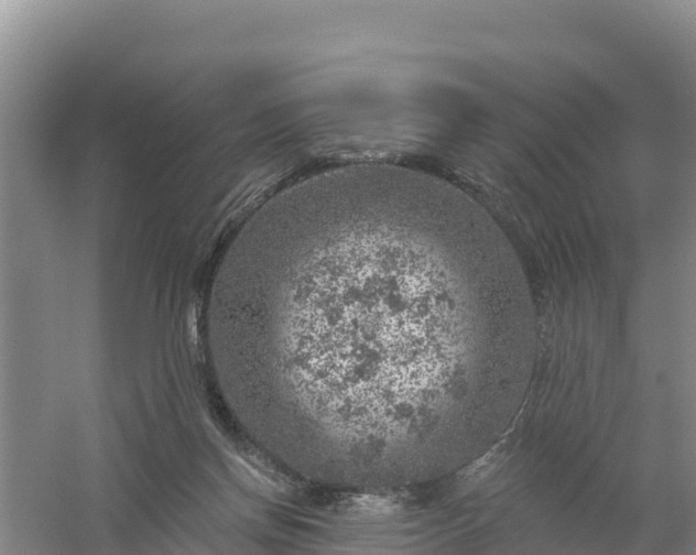 X0000058140166200509302028